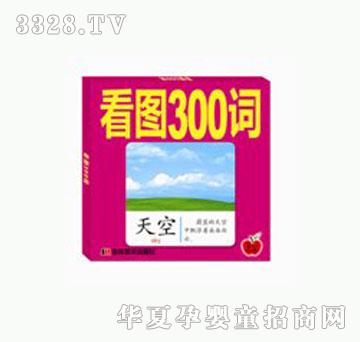 ƻͼ300